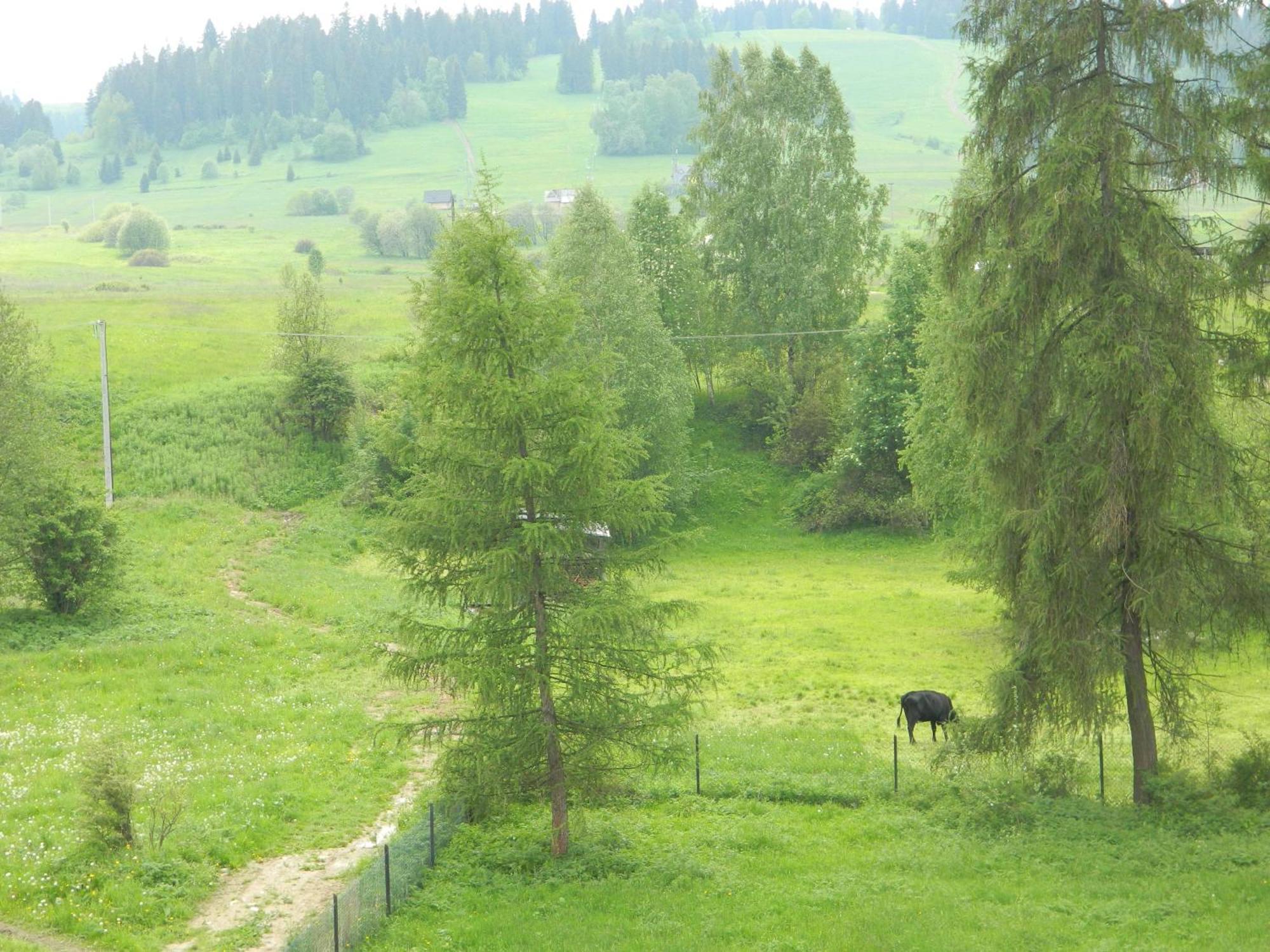 Dom Wypoczynkowy Julia Bialka Tatrzanska Quarto foto